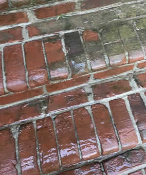 Brick & Paver Cleaning Company